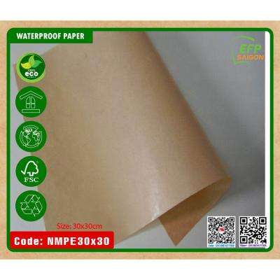 Giấy Gói Thực Phẩm Tráng PE Là Gì?